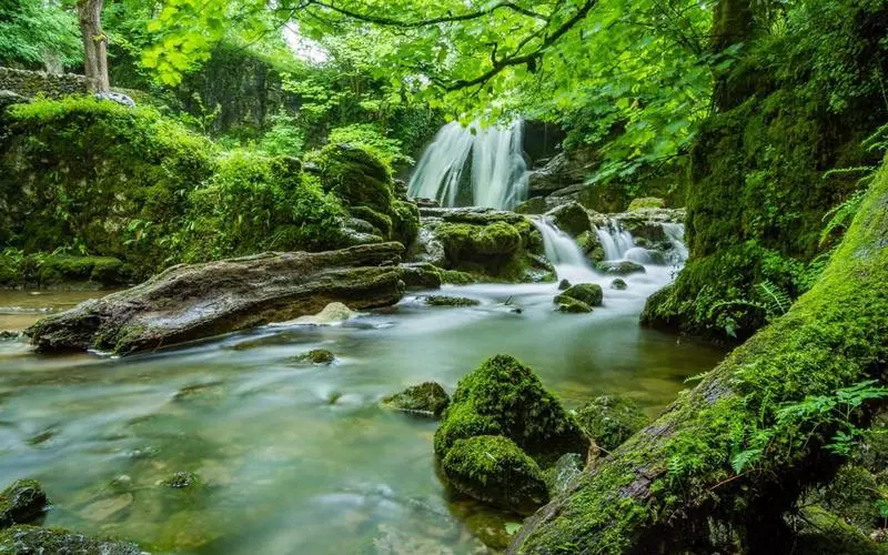 稳定性科技高性能